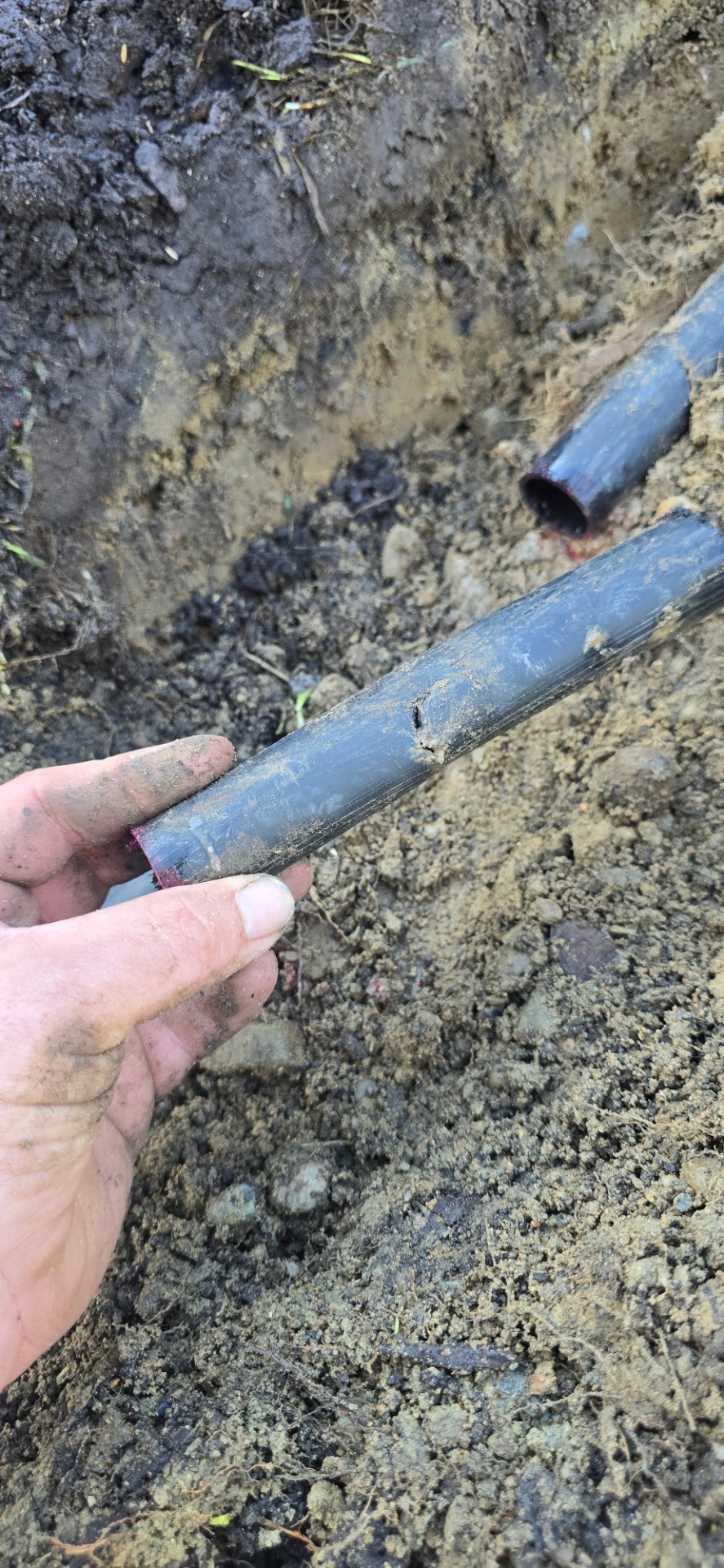 Creed's Property Maintenance, Full Service Lawn Care in Plympton, MA - photo 2