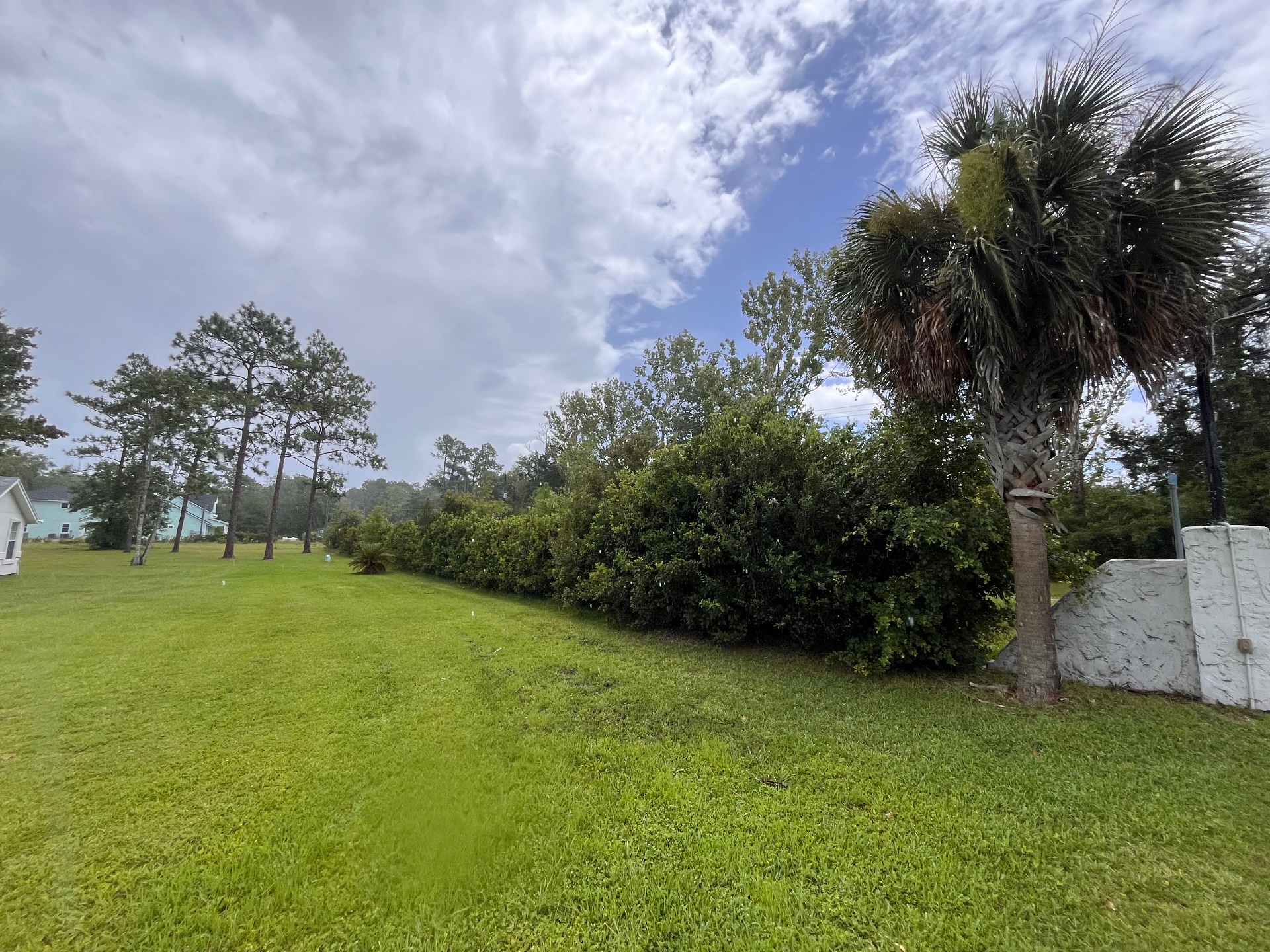 T&A Property Services, Lawn Mowing and Trimming in St. Augustine, FL - photo 5