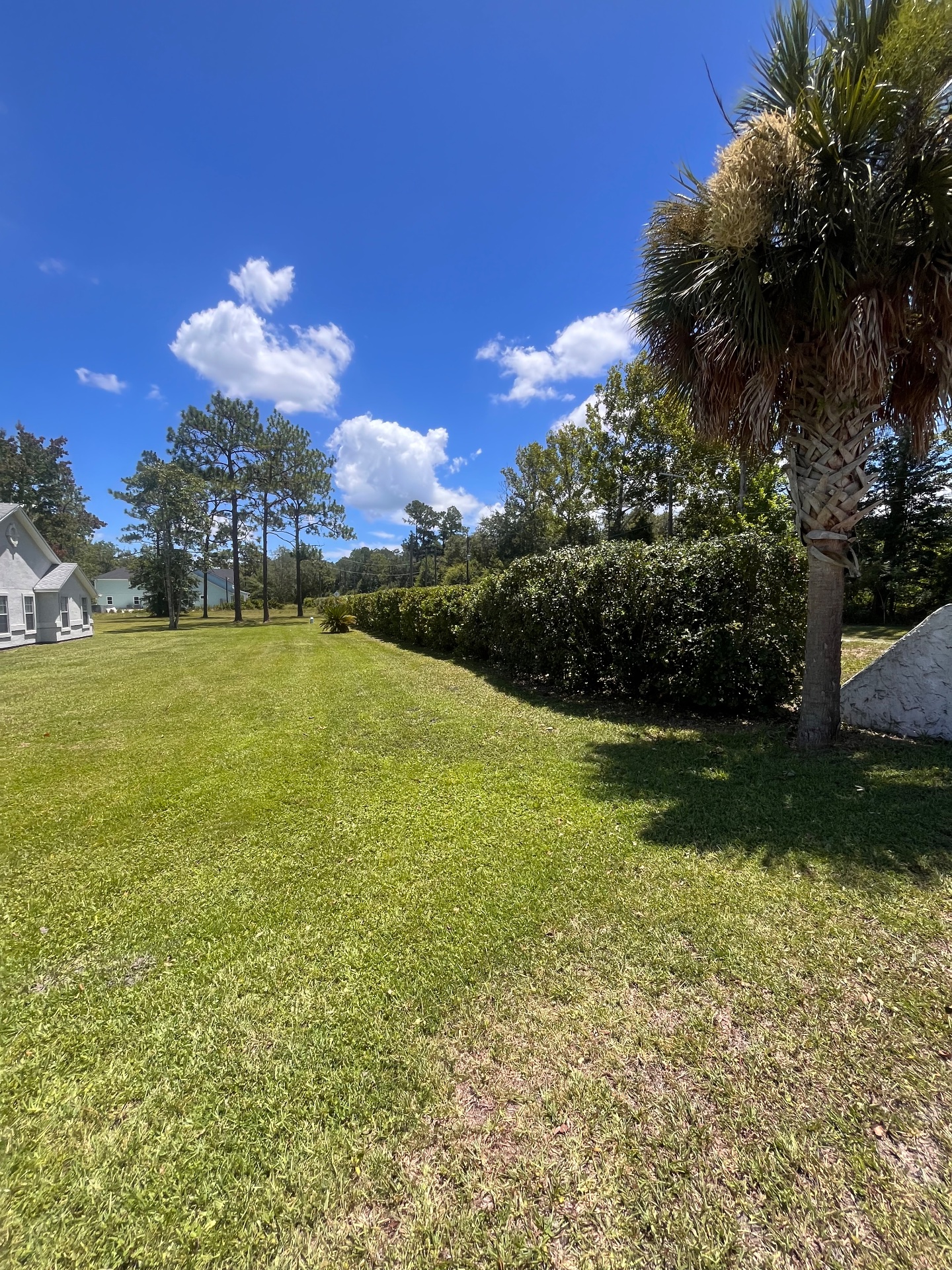 T&A Property Services, Lawn Mowing and Trimming in St. Augustine, FL - photo 6