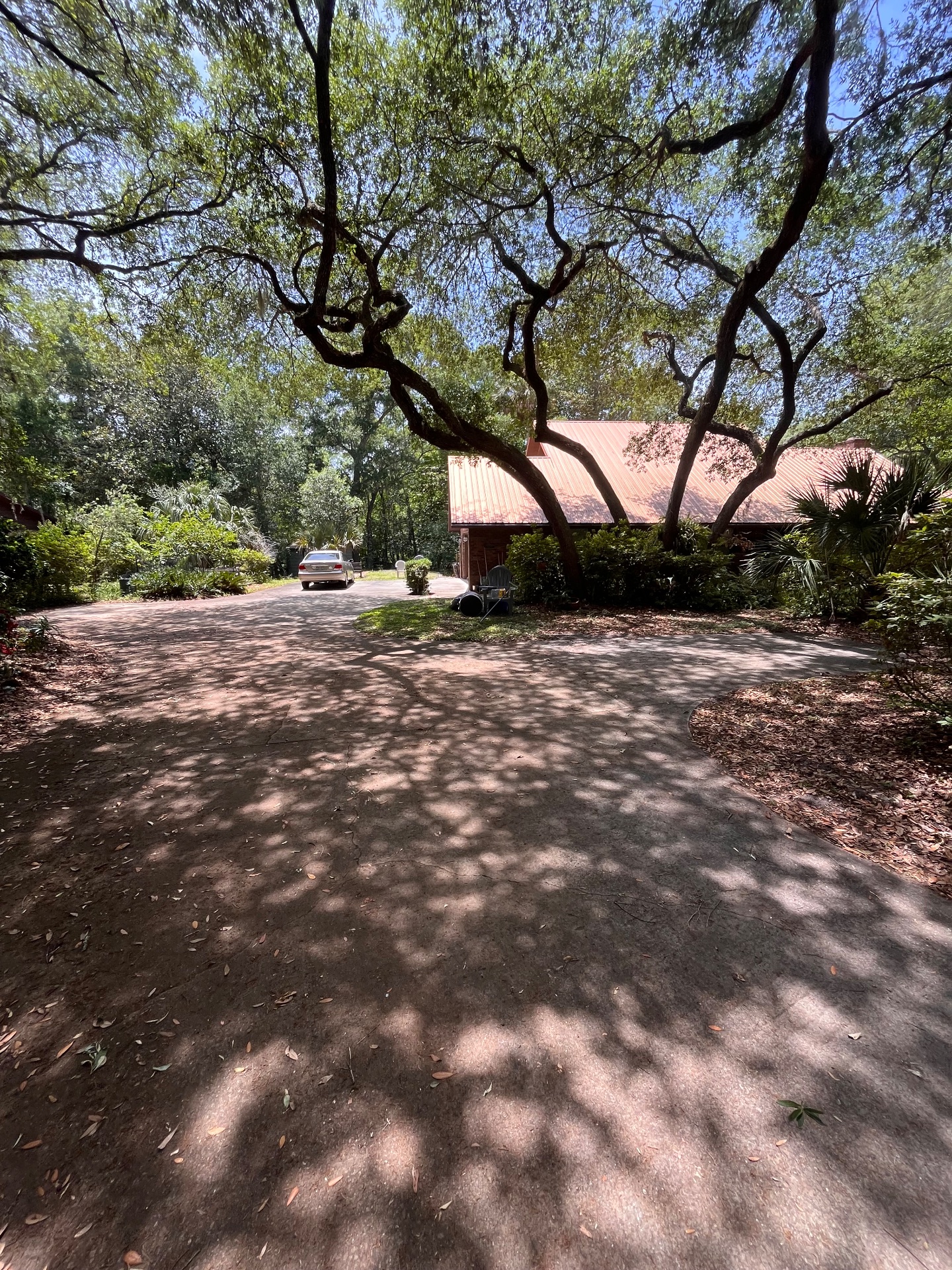 T&A Property Services, Lawn Mowing and Trimming in St. Augustine, FL - photo 7