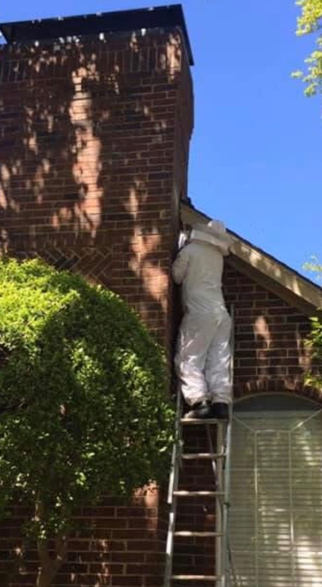 Summers Pest Control, Pest Control Services in Cross Roads, TX - photo 3