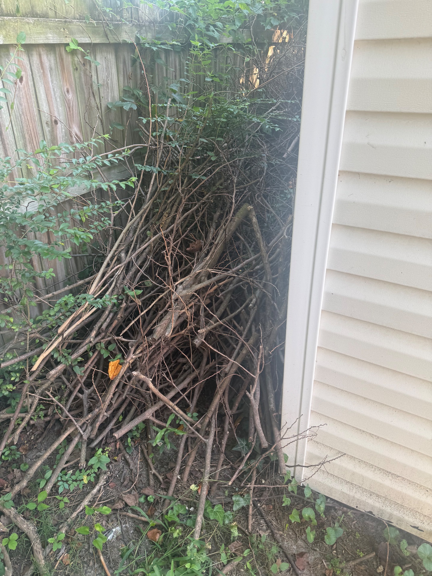 HaulX Junk Removal, Junk Removal in Colonial Heights, VA - photo 1