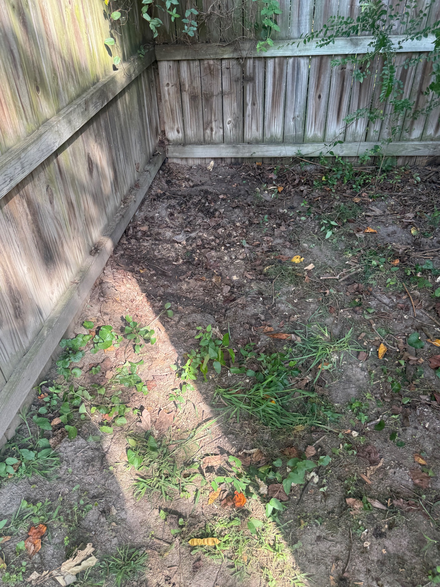 HaulX Junk Removal, Junk Removal in Colonial Heights, VA - photo 4