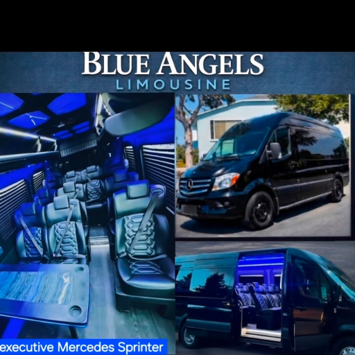 Blue Angels Limo