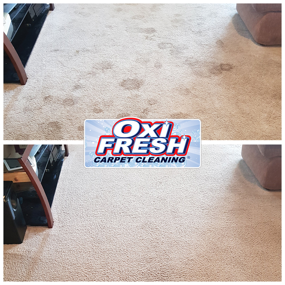 Oxi Fresh Carpet Cleaning, Carpet Cleaning in Tooele, UT - photo 2