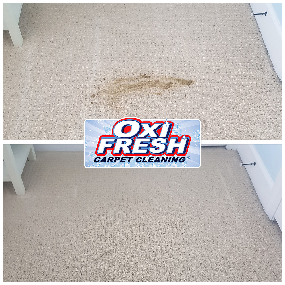 Oxi Fresh Carpet Cleaning, Carpet Cleaning in Tooele, UT - photo 3