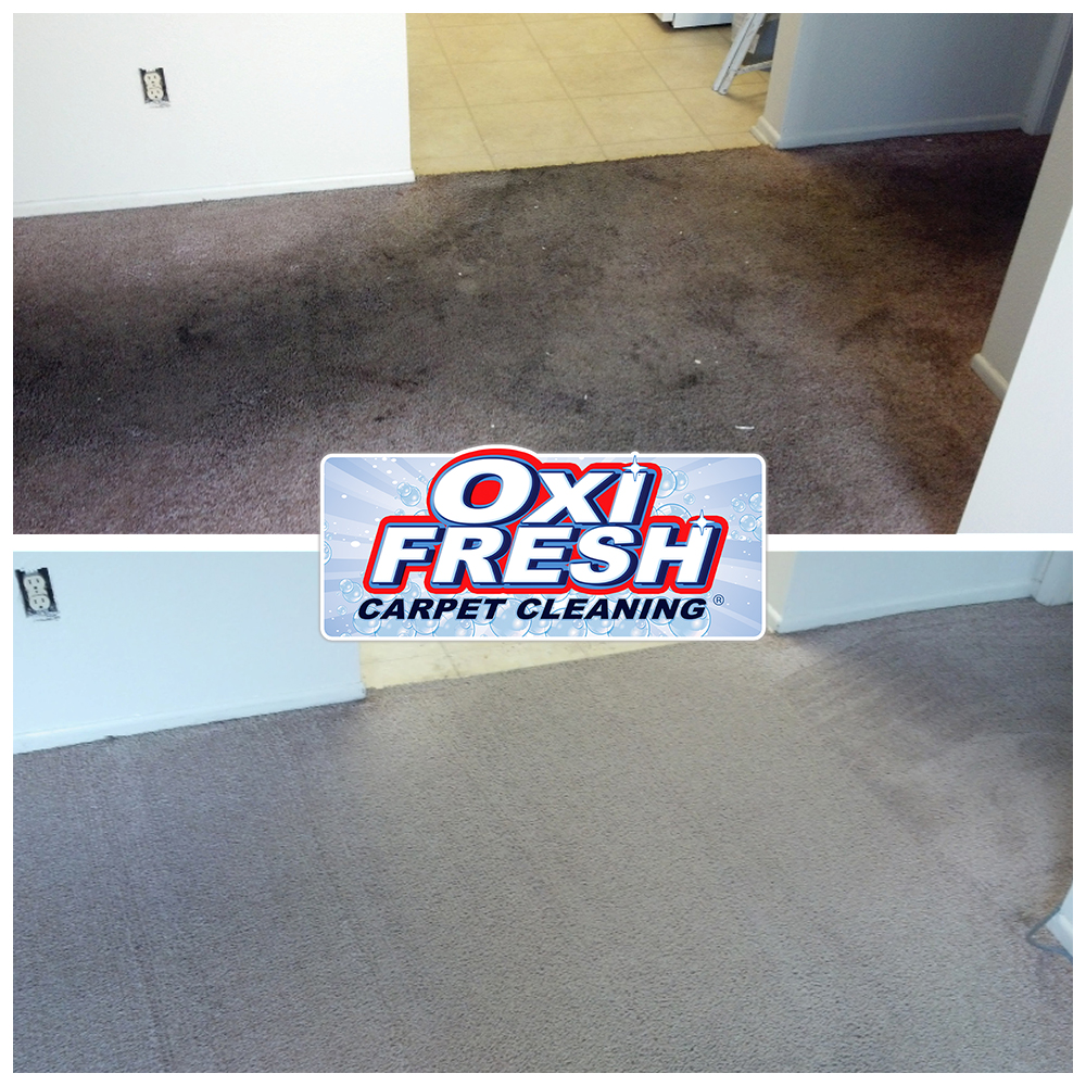 Oxi Fresh Carpet Cleaning, Carpet Cleaning in Tooele, UT - photo 4