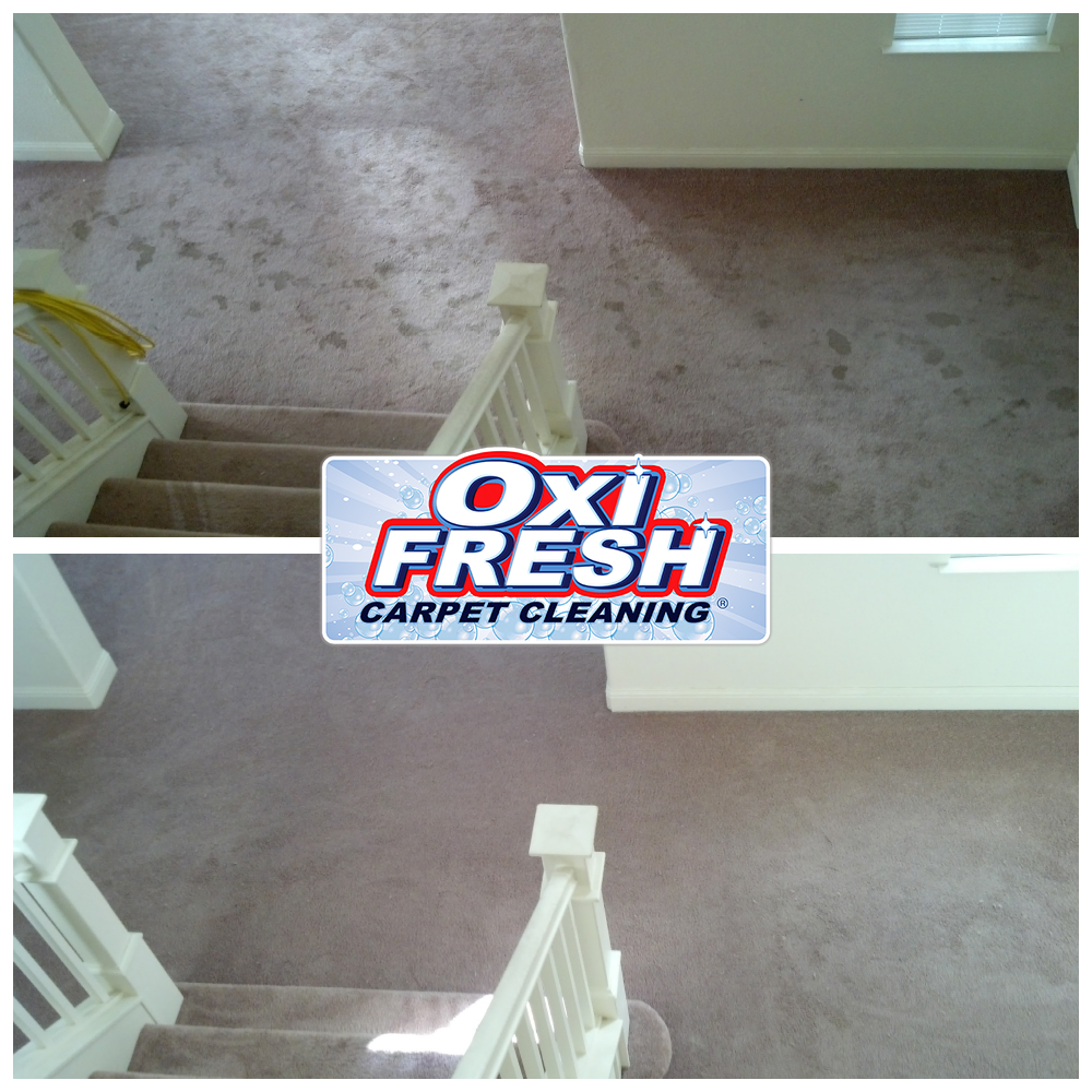 Oxi Fresh Carpet Cleaning, Carpet Cleaning in Tooele, UT - photo 5