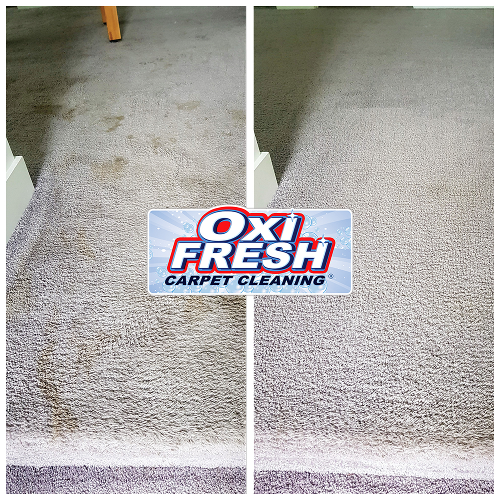 Oxi Fresh Carpet Cleaning, Carpet Cleaning in Tooele, UT - photo 7