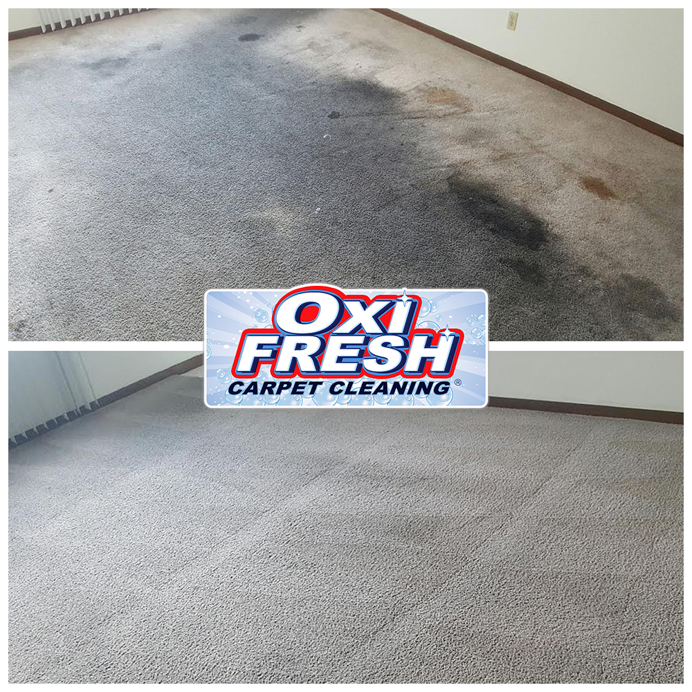 Oxi Fresh Carpet Cleaning, Carpet Cleaning in Tooele, UT - photo 8