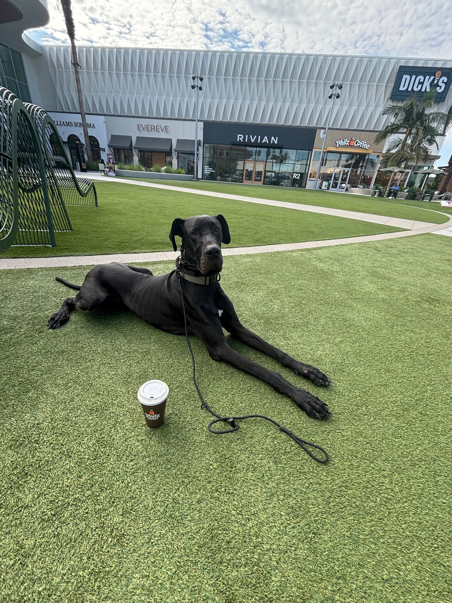 Redeemed K9, Dog Training in Brea, CA - photo 3