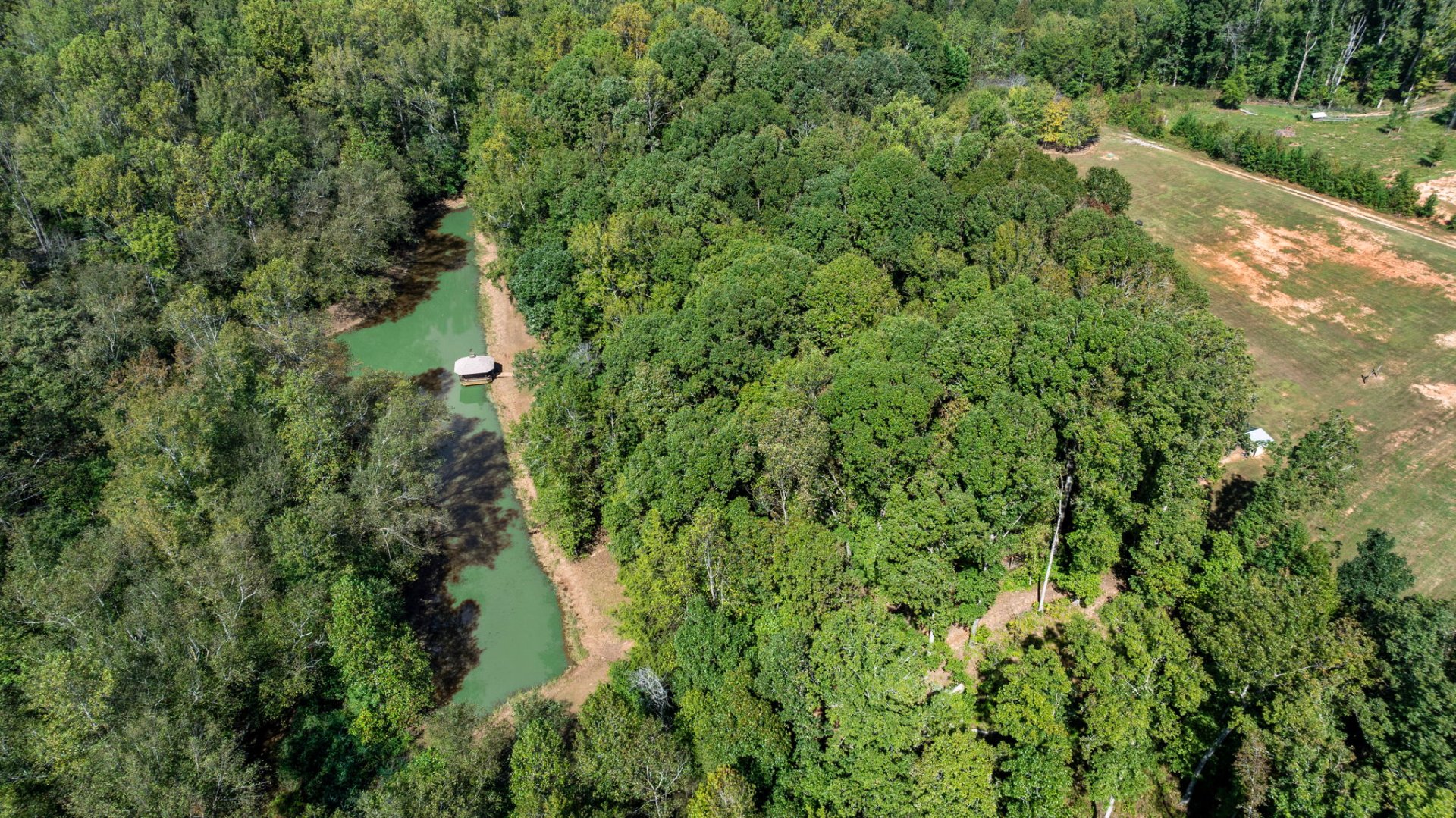 The Cable Group at Real Broker, LLC, Residential Real Estate Agents in Mauldin, SC - photo 8