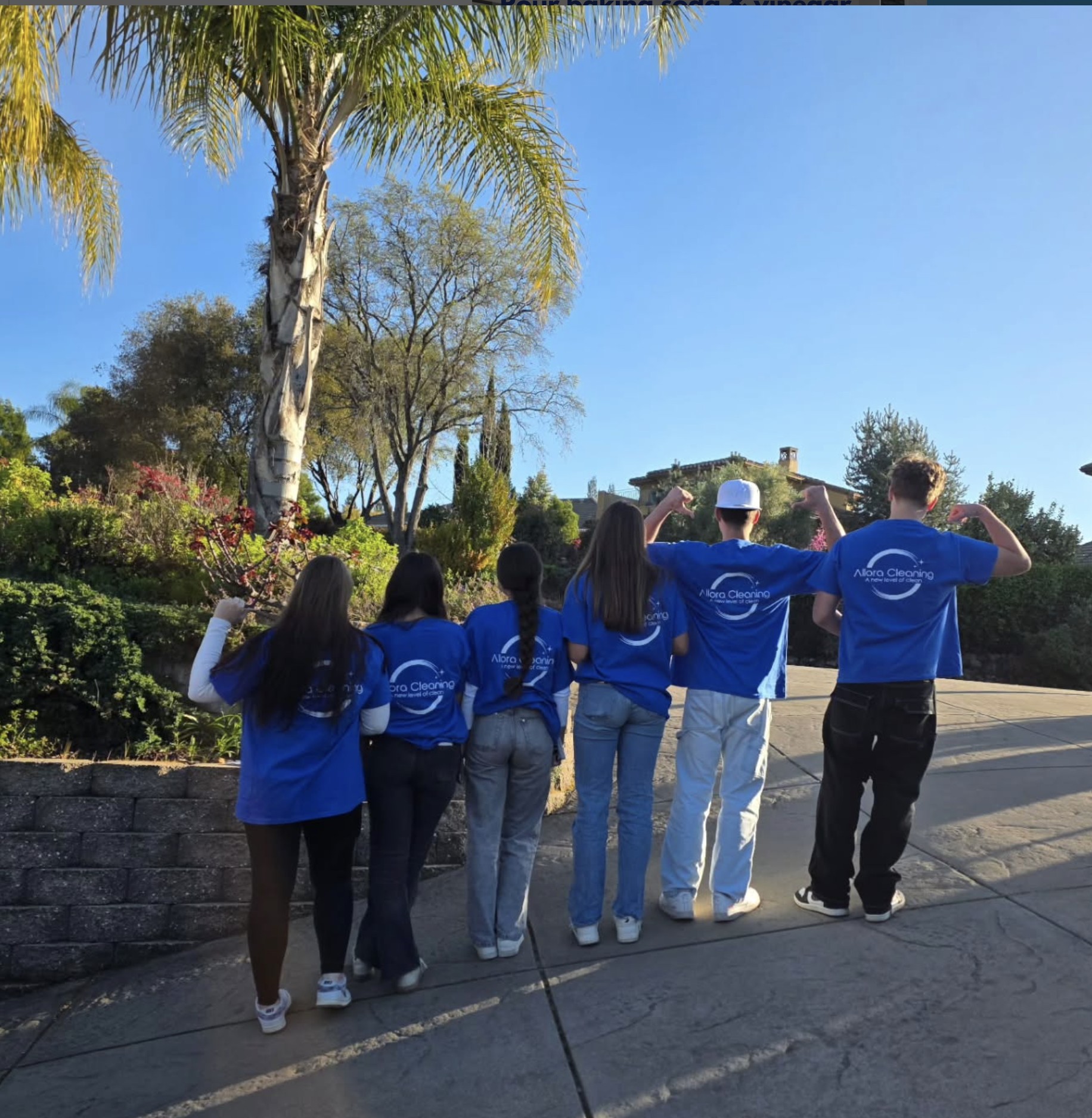 Allora Cleaning | Janitorial, Commercial, Office Cleaning, Carpet Cleaning in Roseville, CA - photo 8