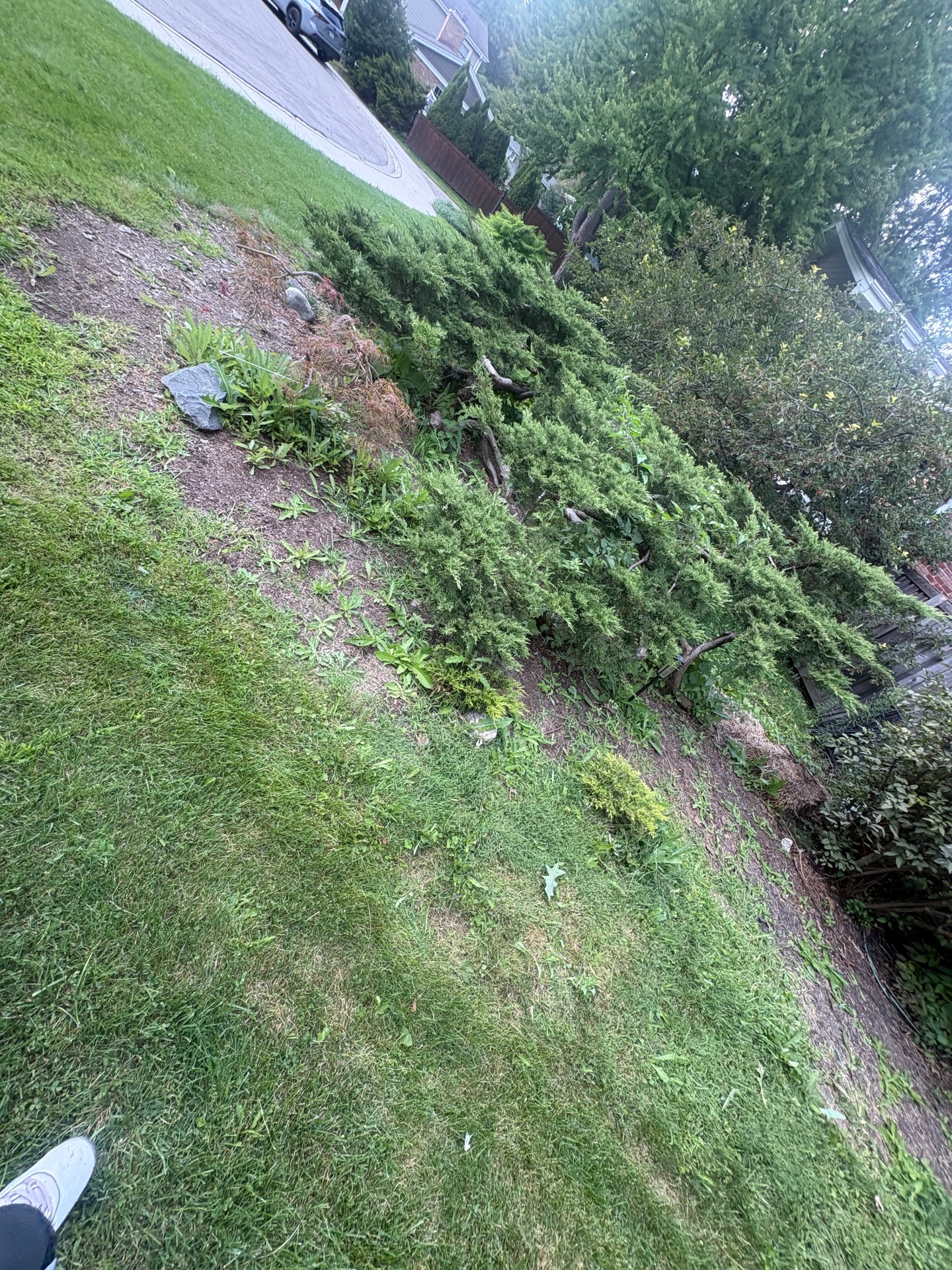 MC Premire Landscaping, Outdoor Landscaping and Design in Des Plaines, IL - photo 1