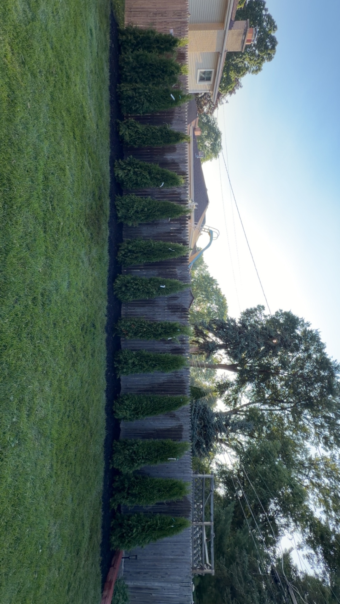 MC Premire Landscaping, Outdoor Landscaping and Design in Des Plaines, IL - photo 7