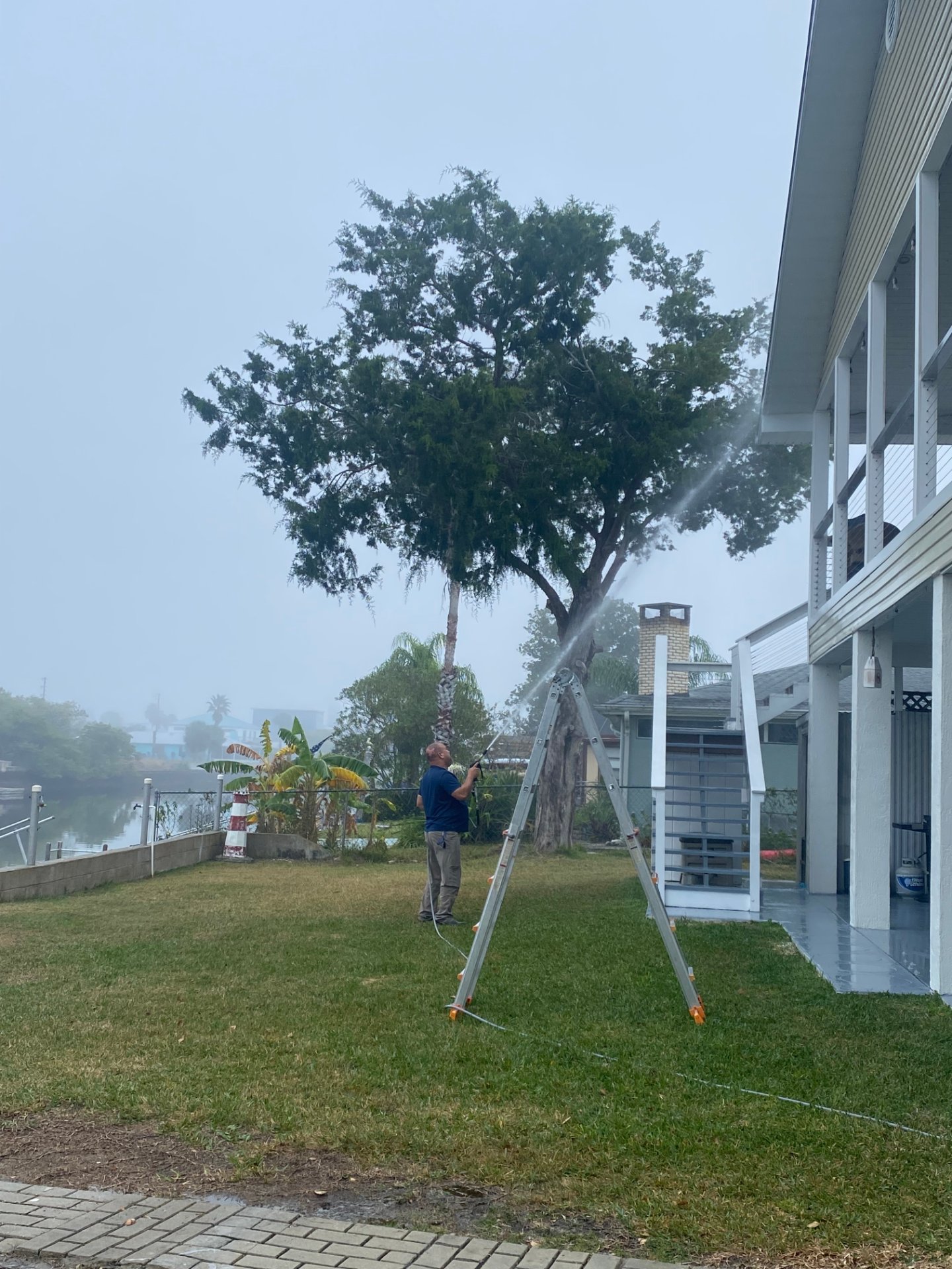 Go2 Pro Cintron Pressure Washing LLC, Pressure Washing in New Port Richey, FL - photo 3