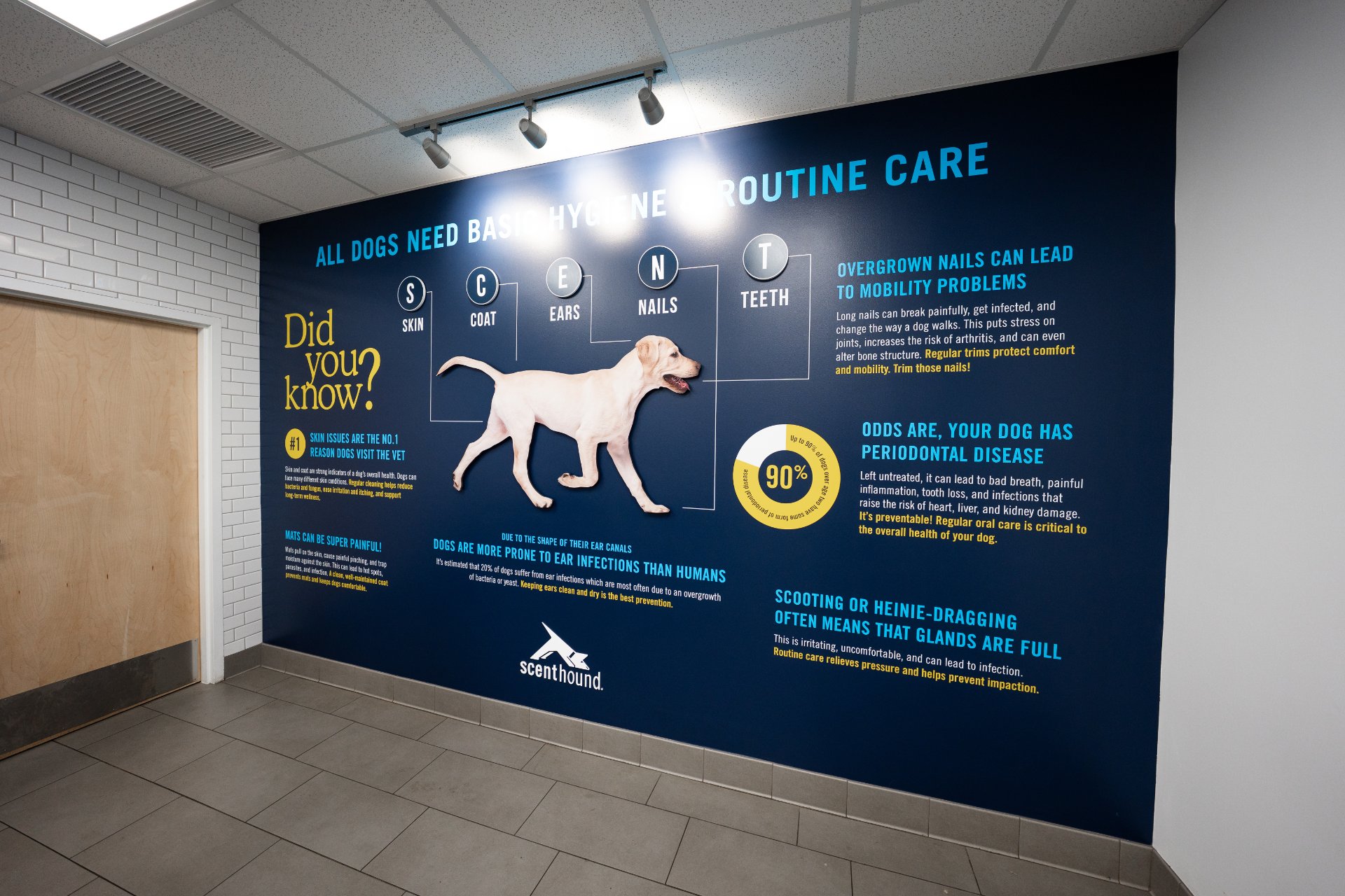 Scenthound Bonita Springs, Dog Grooming in Bonita Springs, FL - photo 5