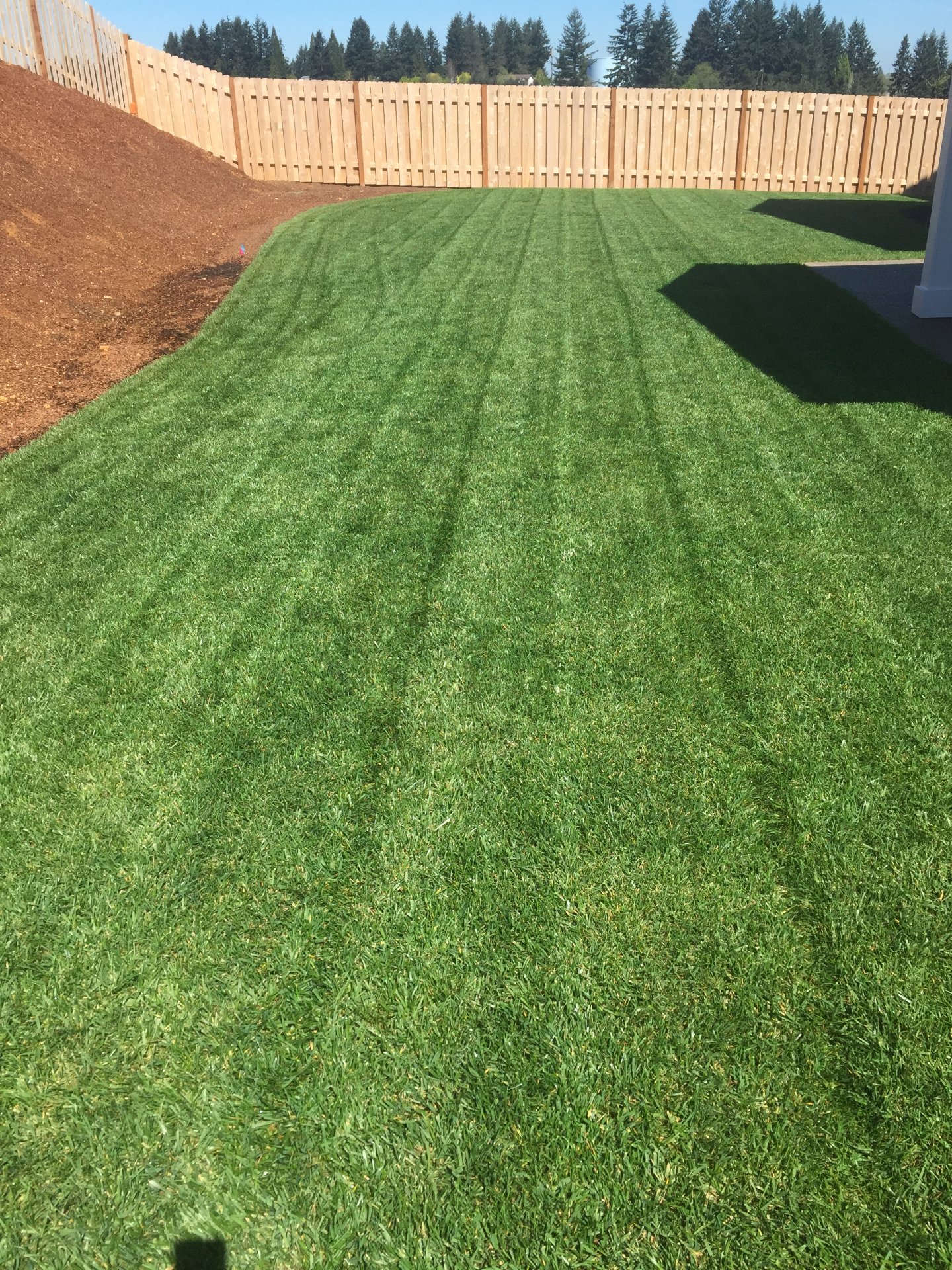 Smooth Green Yard Services, Commercial Pressure Washing in Albany, OR - photo 5