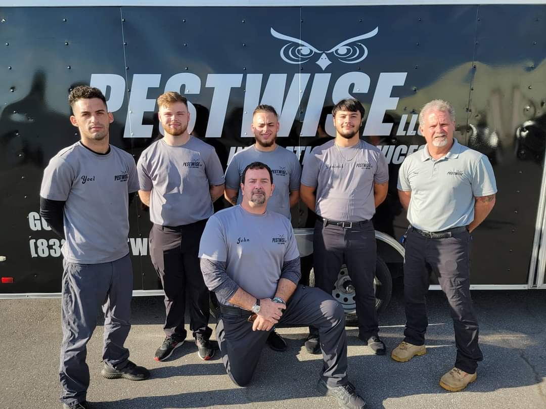 Pestwise LLC, Pest Control Services in Clearwater, FL - photo 1