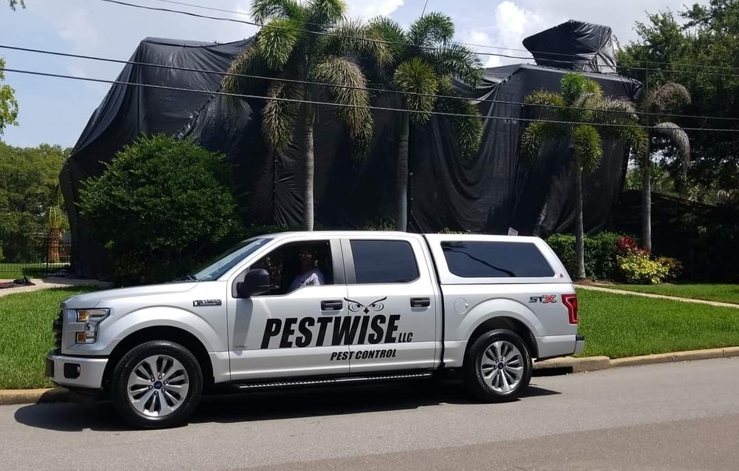 Pestwise LLC, Pest Control Services in Clearwater, FL - photo 2