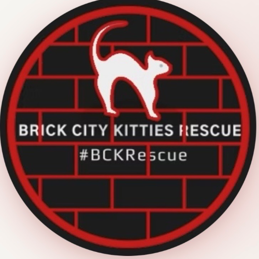 Brick City Kitties Rescue Inc