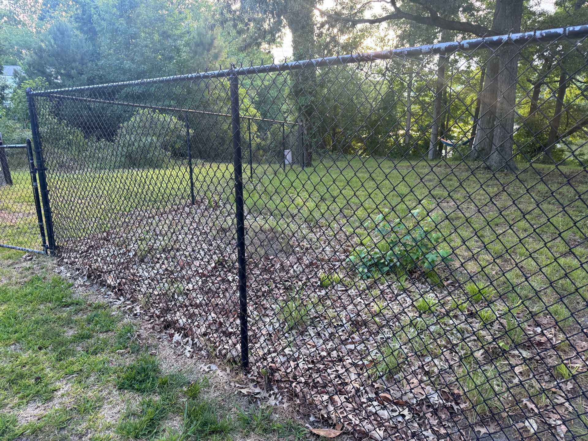 Providence Dumpster Rentals, Dumpster Rental in Chesapeake, VA - photo 3
