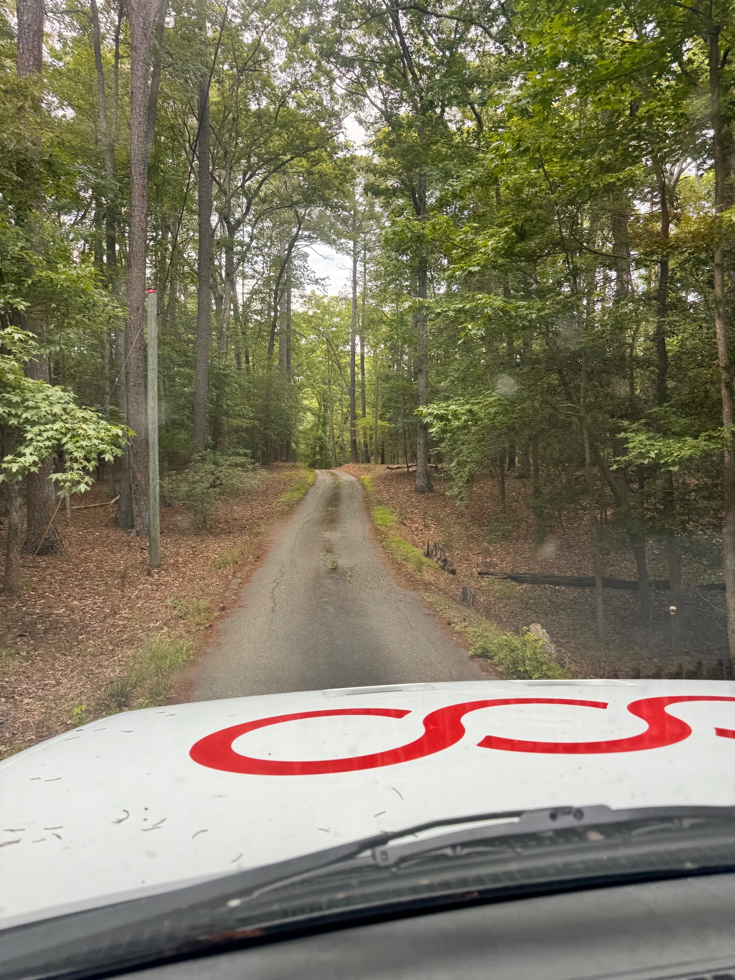Providence Dumpster Rentals, Dumpster Rental in Chesapeake, VA - photo 4