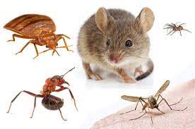 OMNI Pest Control, Bed Bug Extermination in Bothell, WA - photo 2
