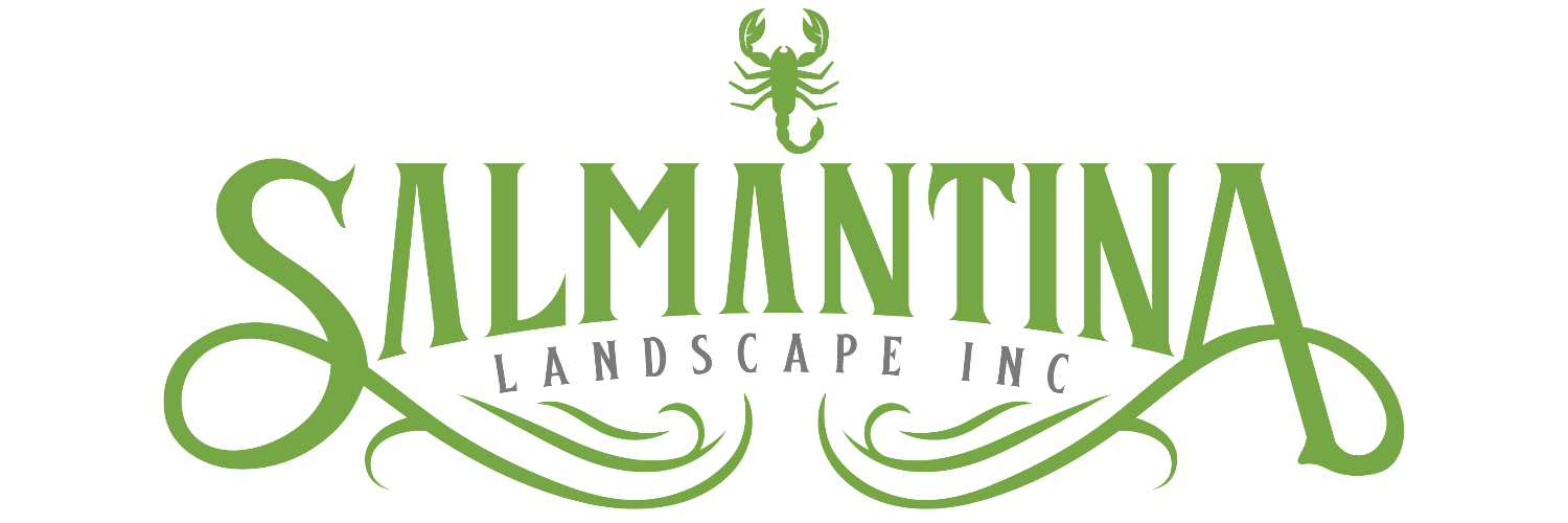 Salmantina Landscape cover photo