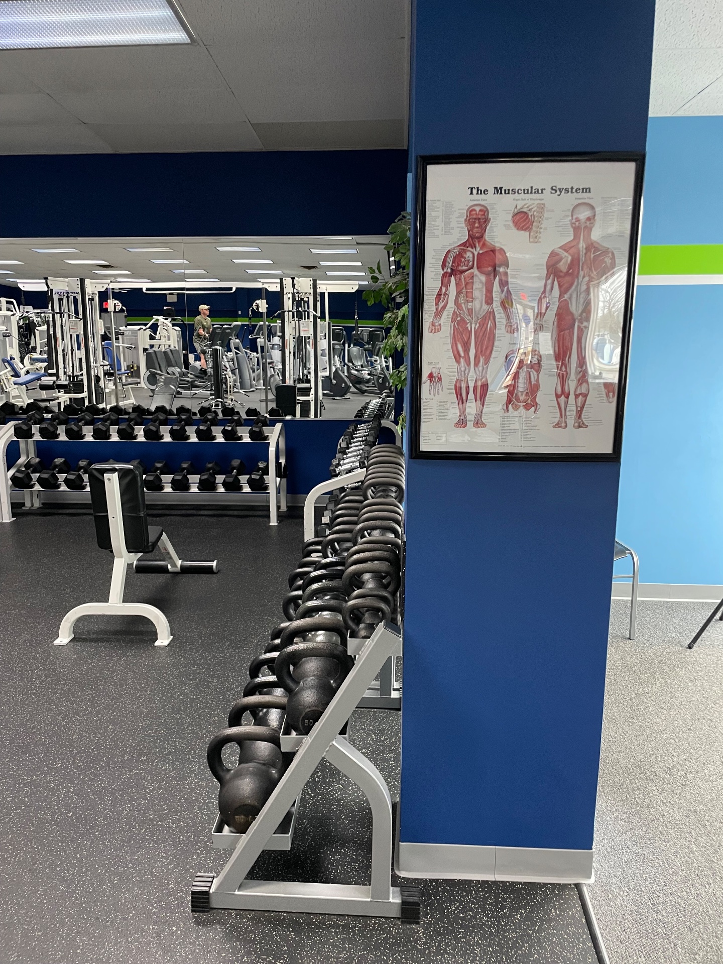 Semper Fitness 24/7, Health and Wellness Coaching in York, PA - photo 3