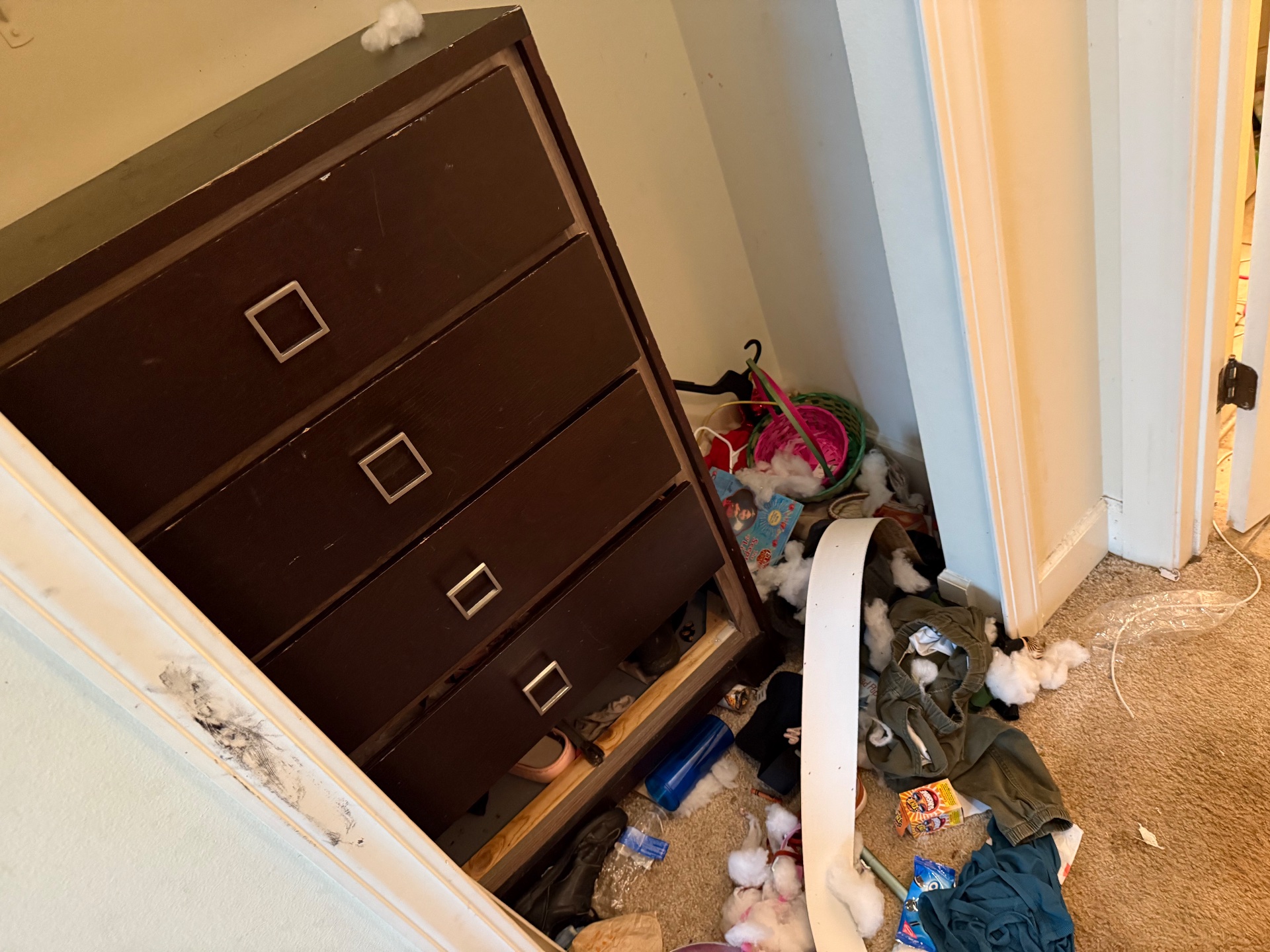 Gotta Go Junk, Junk Removal in Belleview, FL - photo 8
