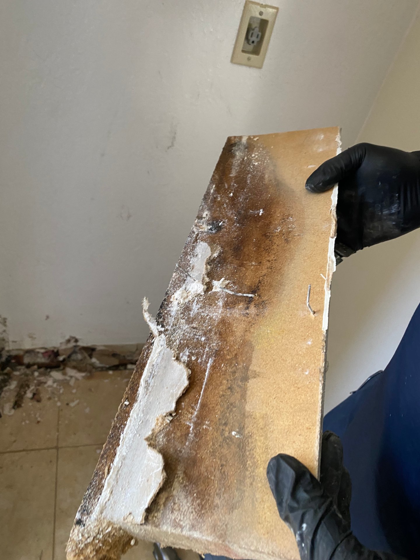 Team Home Solutions, Air Quality and Environmental Testing in Cypress, TX - photo 2