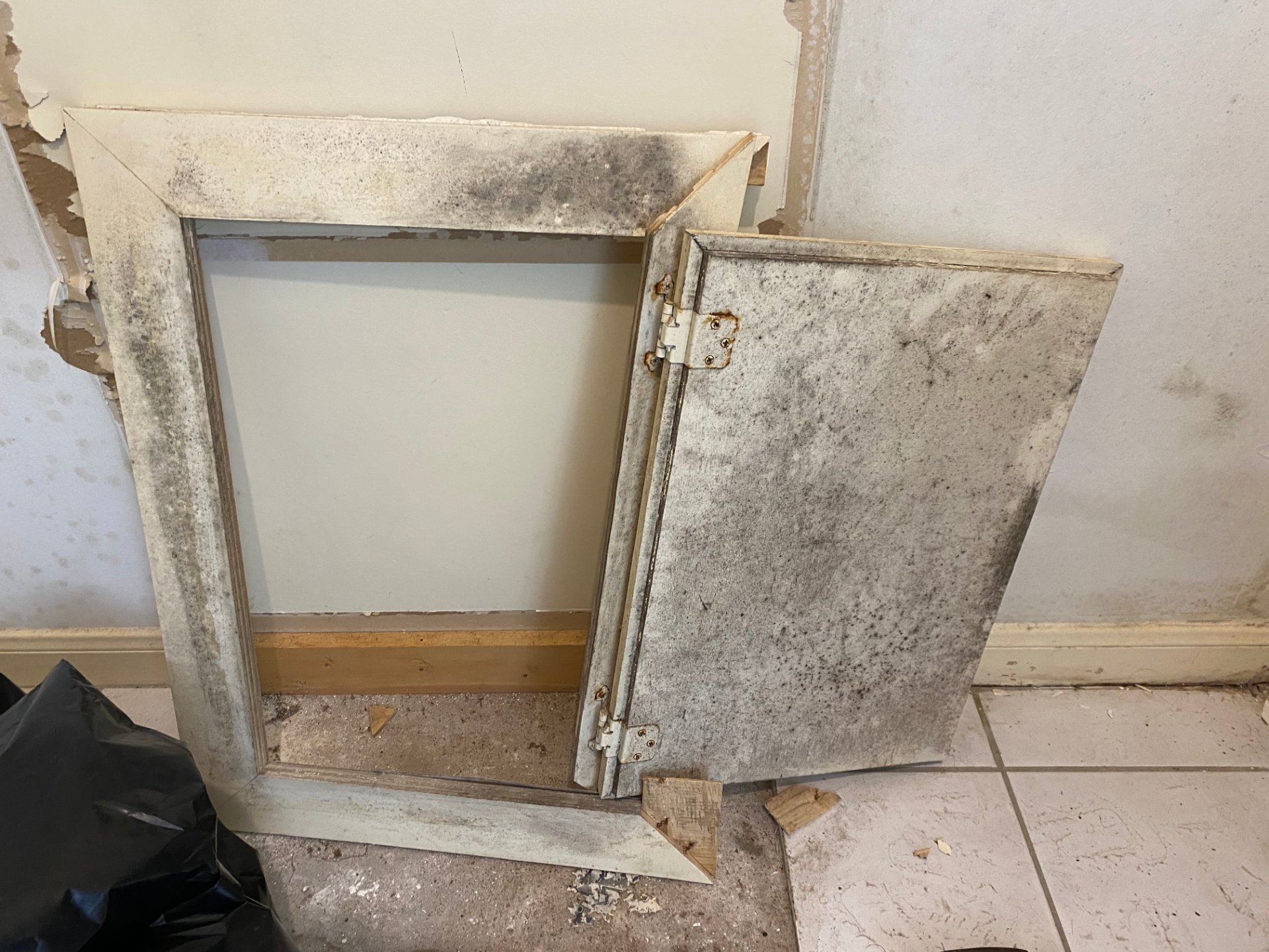 Team Home Solutions, Air Quality and Environmental Testing in Cypress, TX - photo 3