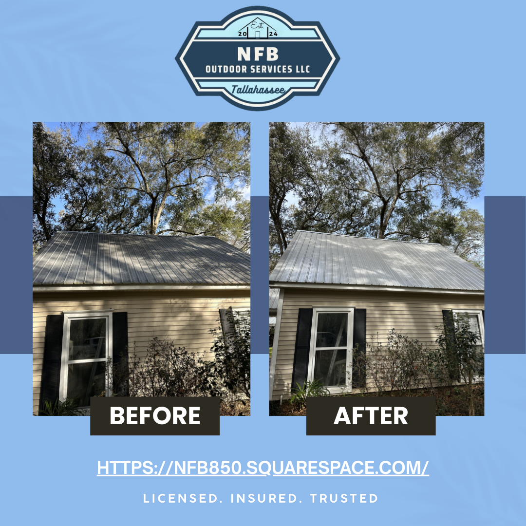 NFB Outdoor Services, LLC, Gutter Cleaning in Tallahassee, FL - photo 3