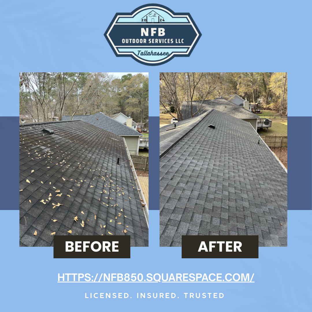 NFB Outdoor Services, LLC, Gutter Cleaning in Tallahassee, FL - photo 4