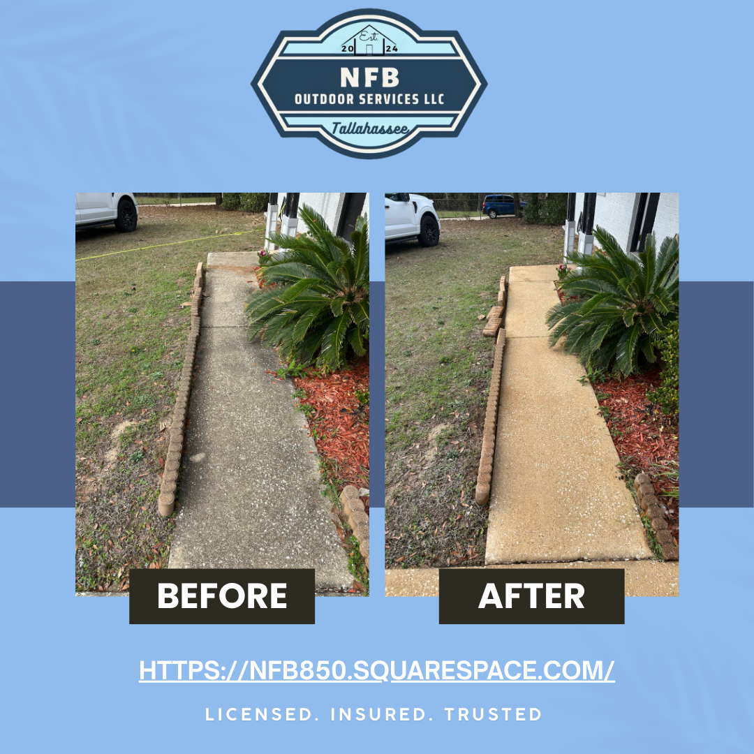 NFB Outdoor Services, LLC, Gutter Cleaning in Tallahassee, FL - photo 7