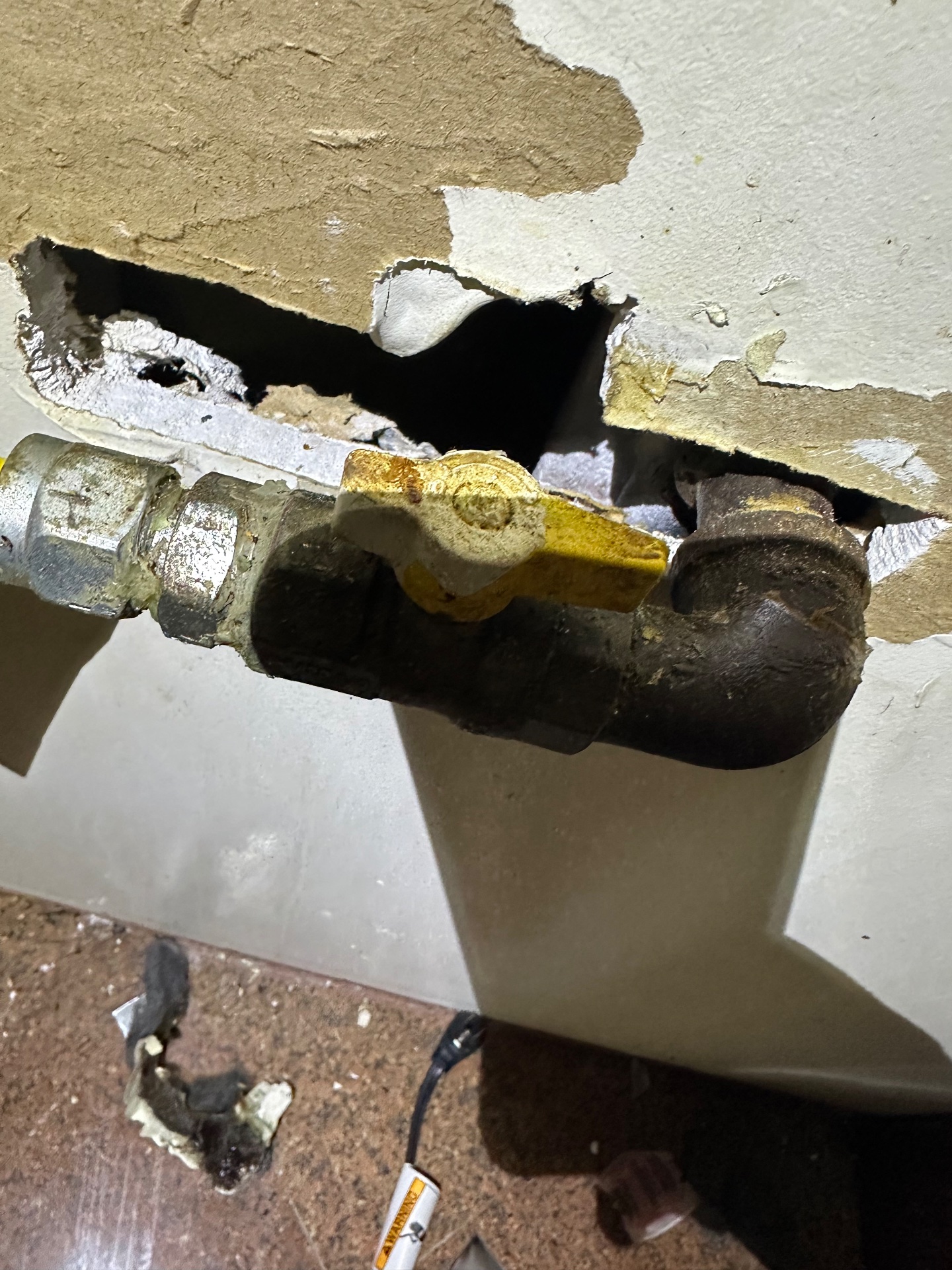 24hr Emmaculate Exterminating Inc, Pest Control Services in Queens, NY - photo 2