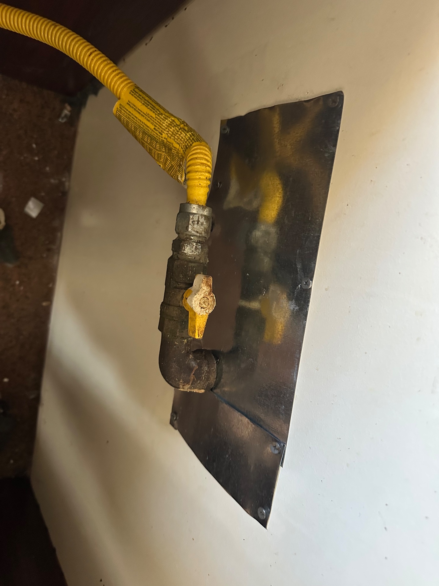 24hr Emmaculate Exterminating Inc, Pest Control Services in Queens, NY - photo 3