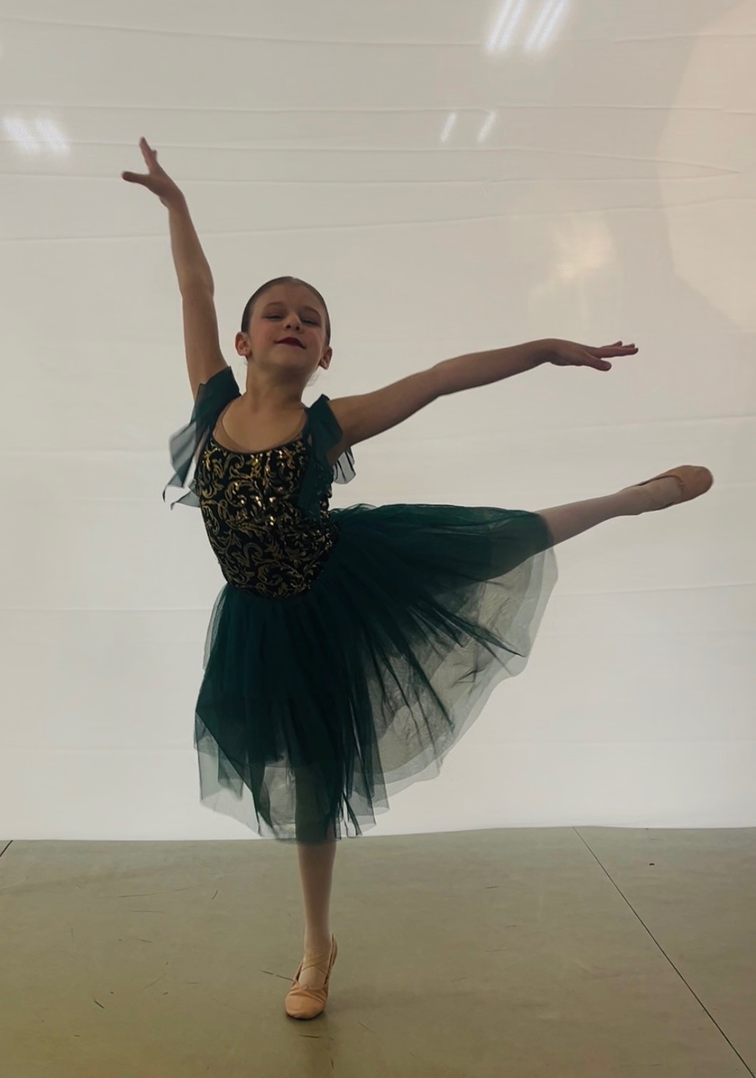 Performing Arts Dance & Supplies LLC, Dance Entertainment in Hamburg, NY - photo 5