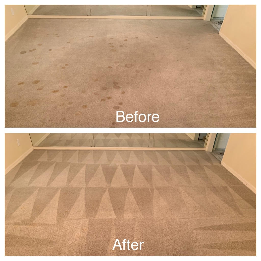 Lucas Home Solutions, LLC, Carpet Cleaning in Mount Dora, FL - photo 2