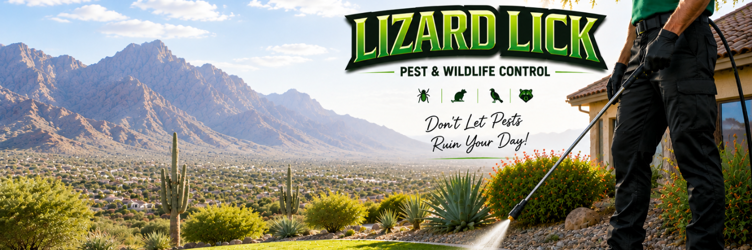 Lizard Lick Pest Control cover photo