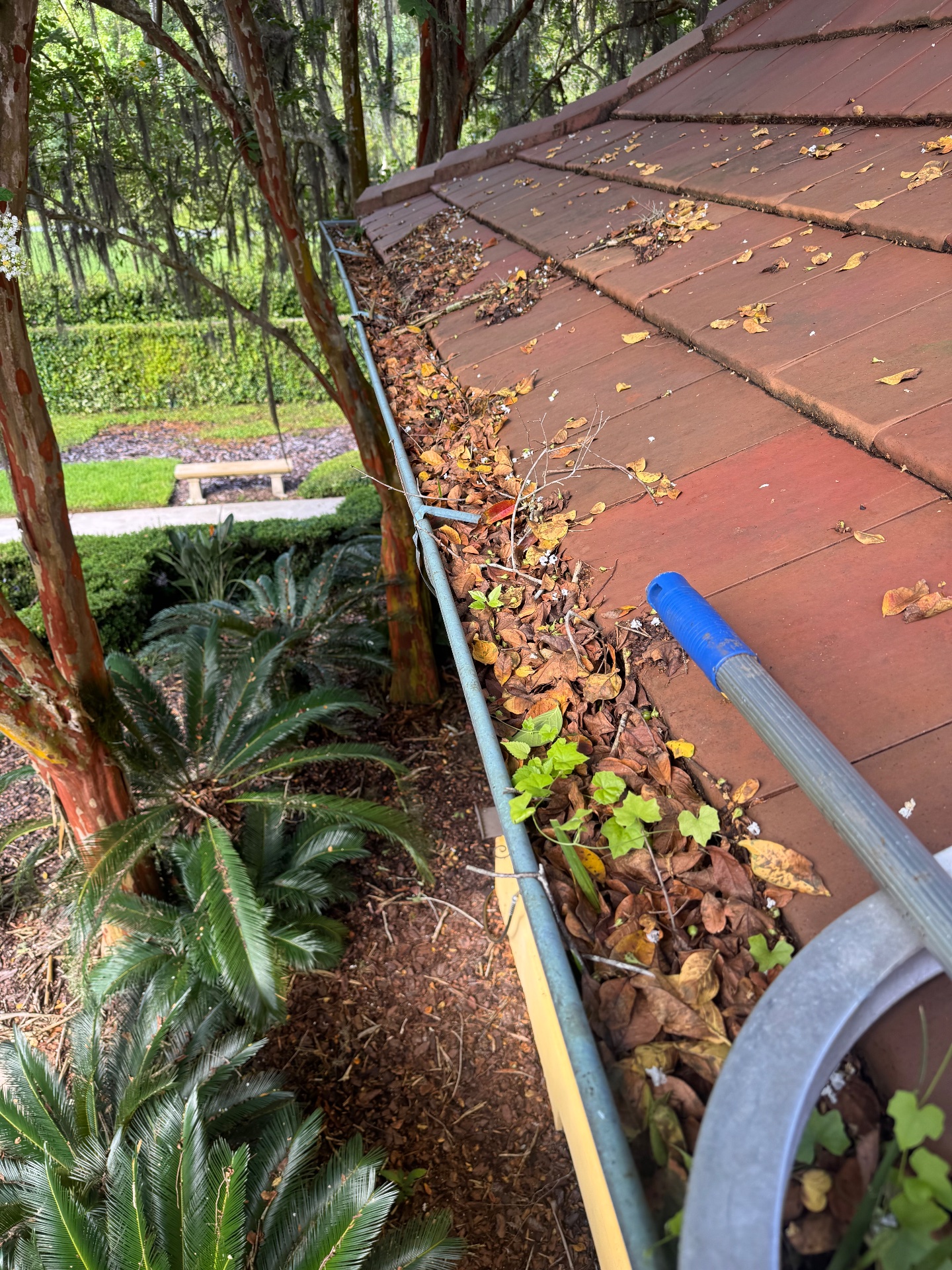 W3 Pressure Cleaning & More, Pressure Washing in Auburndale, FL - photo 3