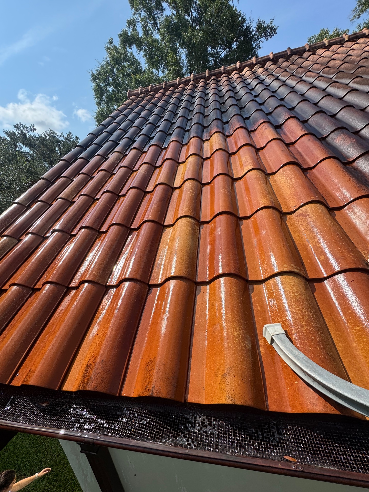 W3 Pressure Cleaning & More, Pressure Washing in Auburndale, FL - photo 8