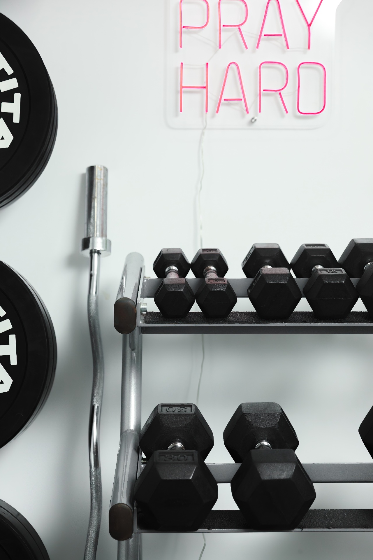 Fitness Instruction / Personal Trainer, Fitness Trainers in West Babylon, NY - photo 2