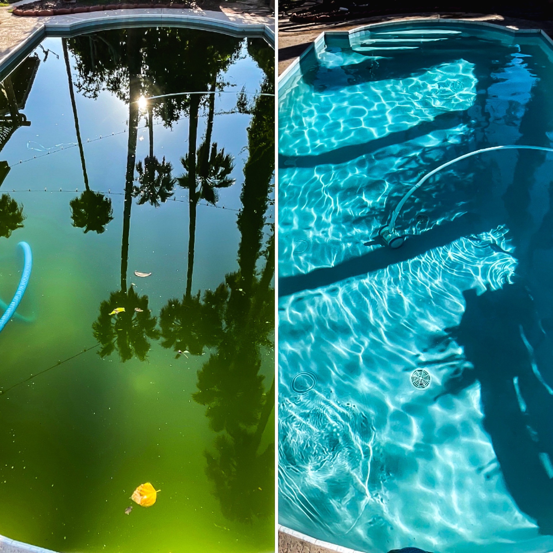 Blue Desert Pools, Hot Tub and Spa Cleaning and Maintenance in Mesa, AZ - photo 7