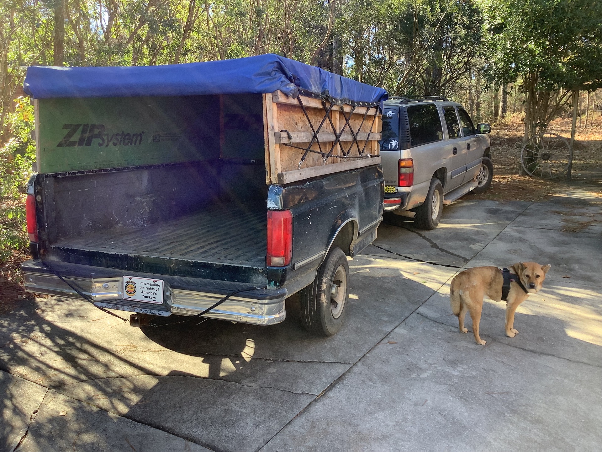 Apartment moving or furniture delivery, Couriers & Delivery Services in Aiken , SC - photo 1