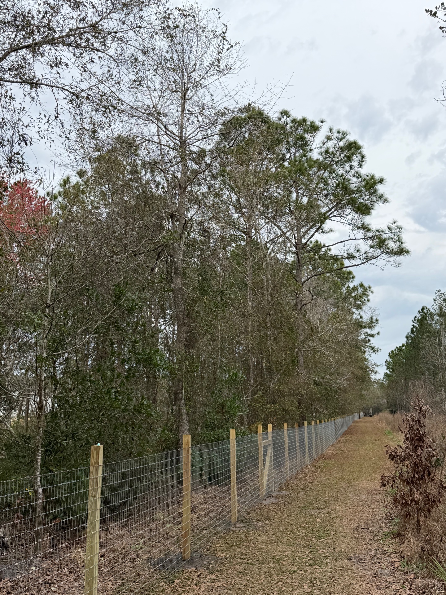 Safe Haven Fence, Fence and Gate Installation in St. Augustine, FL - photo 8