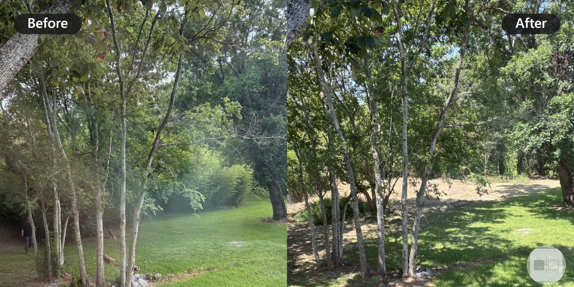 FaithWorks Forestry Mulching and Brush Services, Land Clearing in Pearland, TX - photo 4