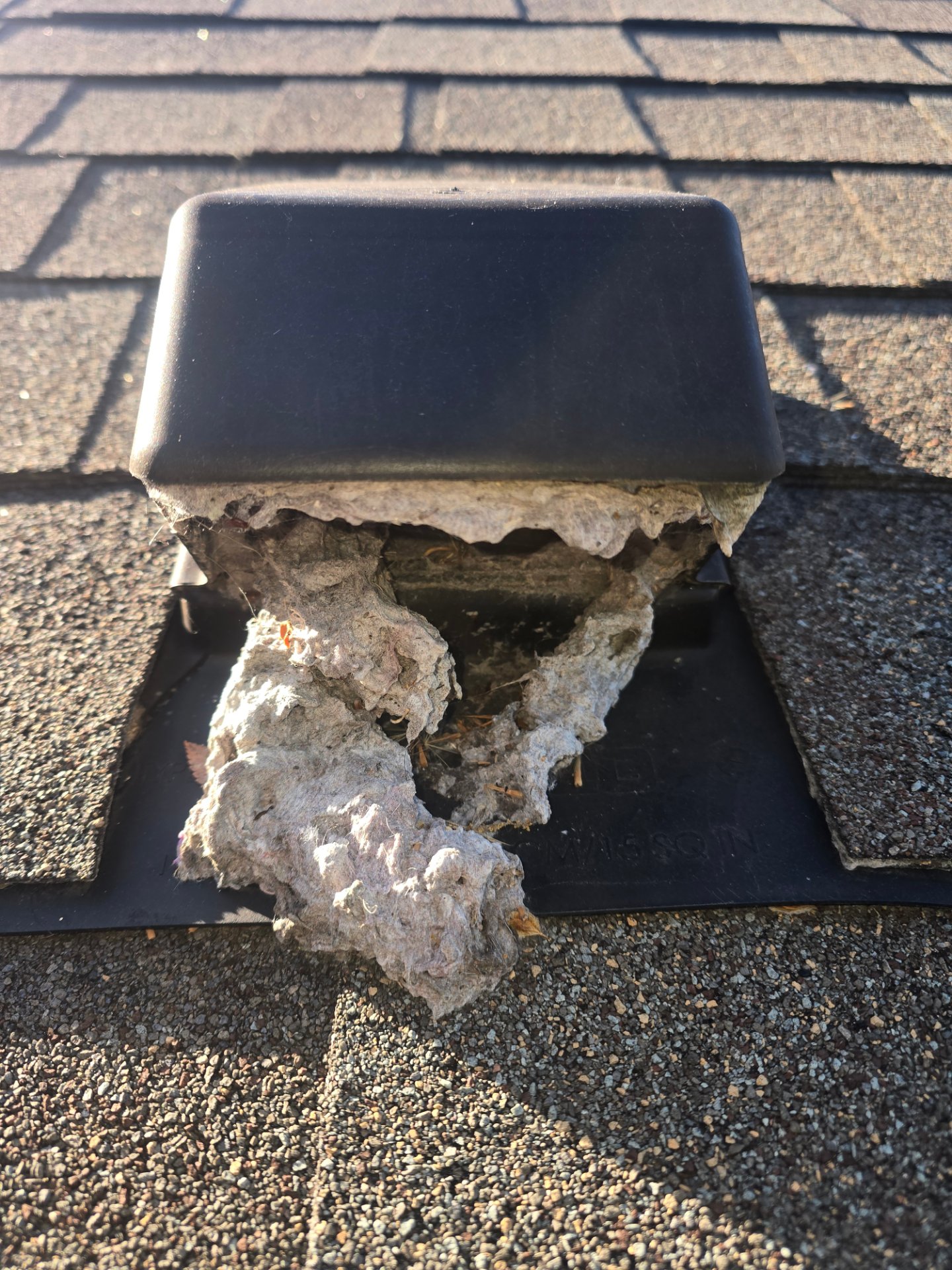 Home Champion, Gutter Cleaning in Broken Arrow, OK - photo 8