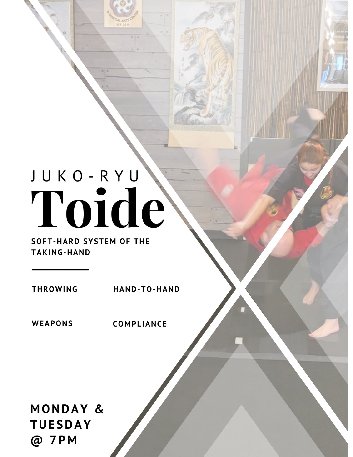 Juko-Ryu Toide & Martial Arts Center, Martial Arts in Warsaw, IN - photo 1